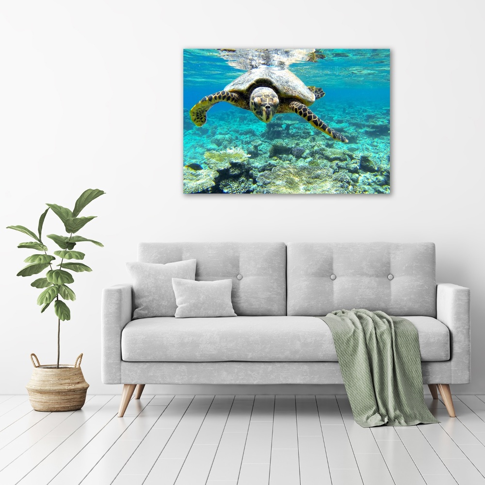 Acrylic wall art Sea turtle