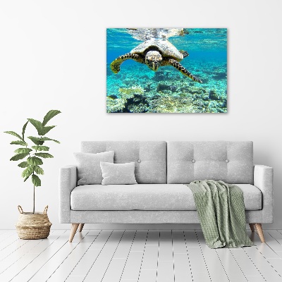 Acrylic wall art Sea turtle