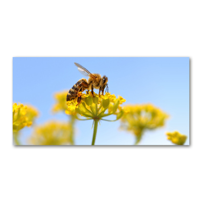 Print on acrylic Bee on a flower