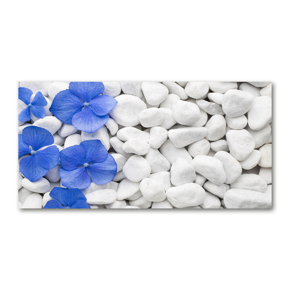 Acrylic wall art Hydrangea