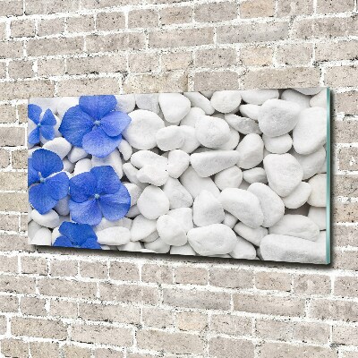 Acrylic wall art Hydrangea