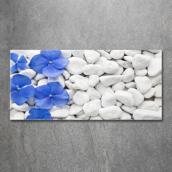 Acrylic wall art Hydrangea