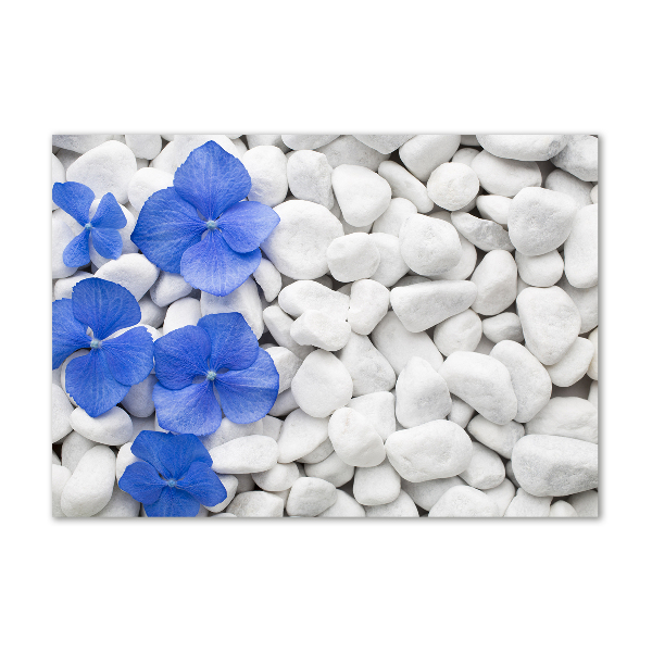 Acrylic wall art Hydrangea