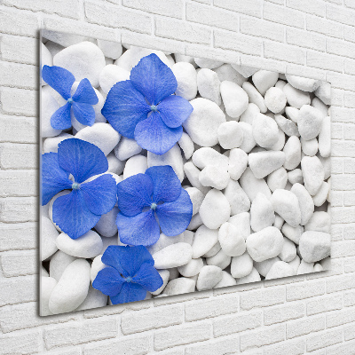 Acrylic wall art Hydrangea