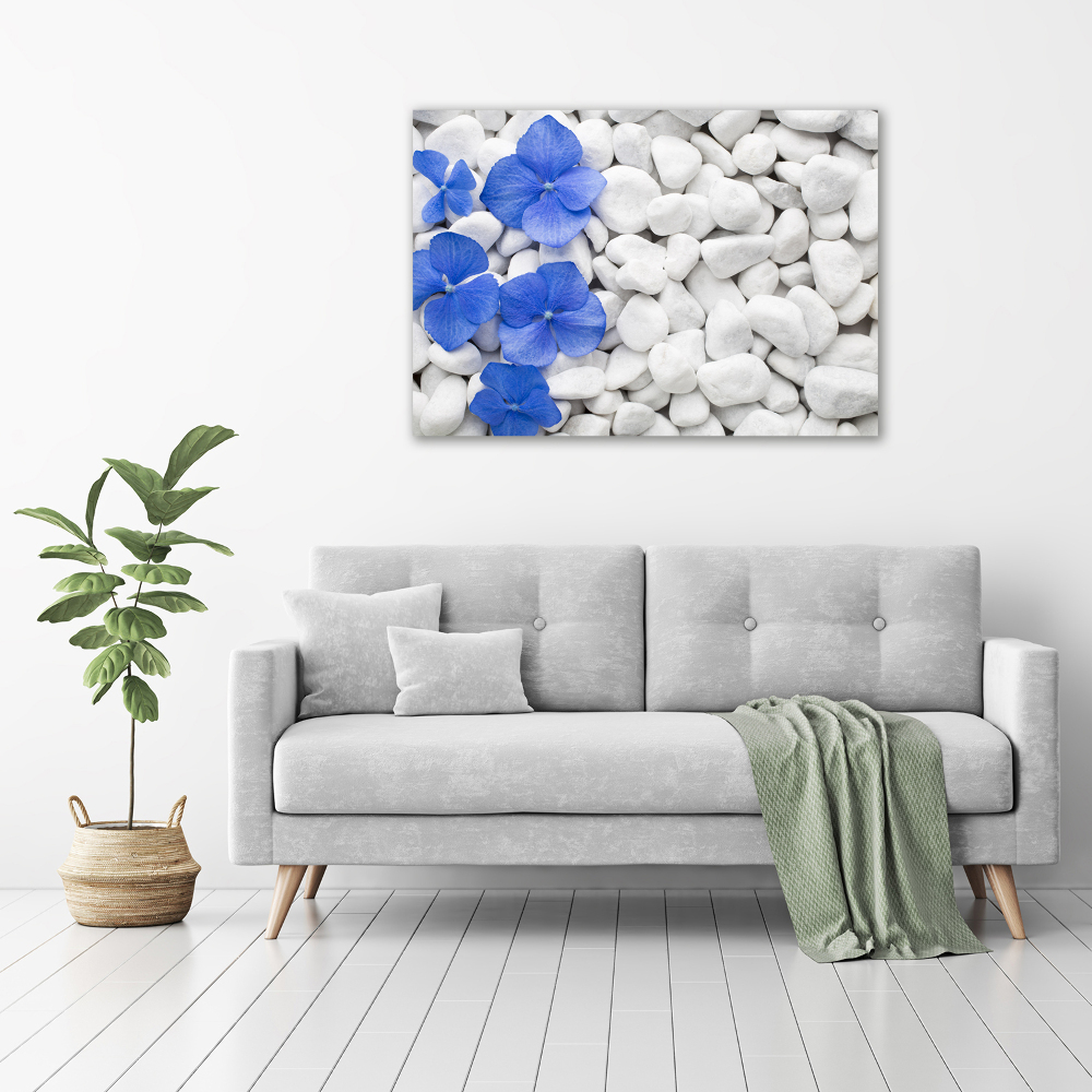 Acrylic wall art Hydrangea