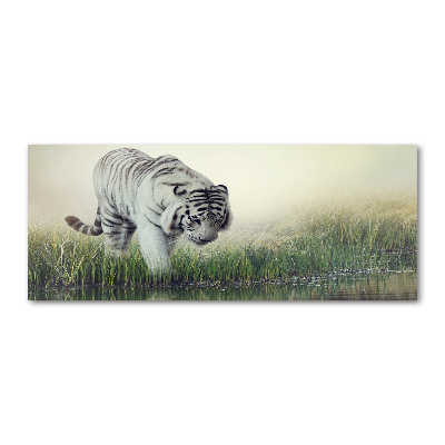 Wall art acrylic White Tiger