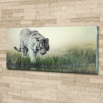 Wall art acrylic White Tiger