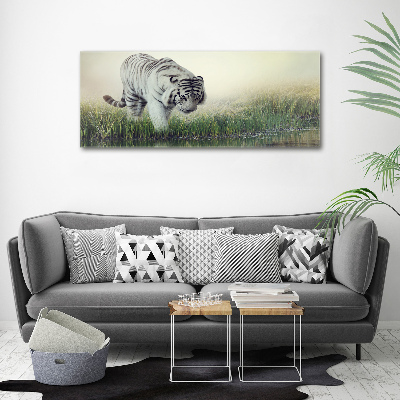 Wall art acrylic White Tiger