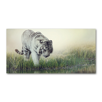 Wall art acrylic White Tiger