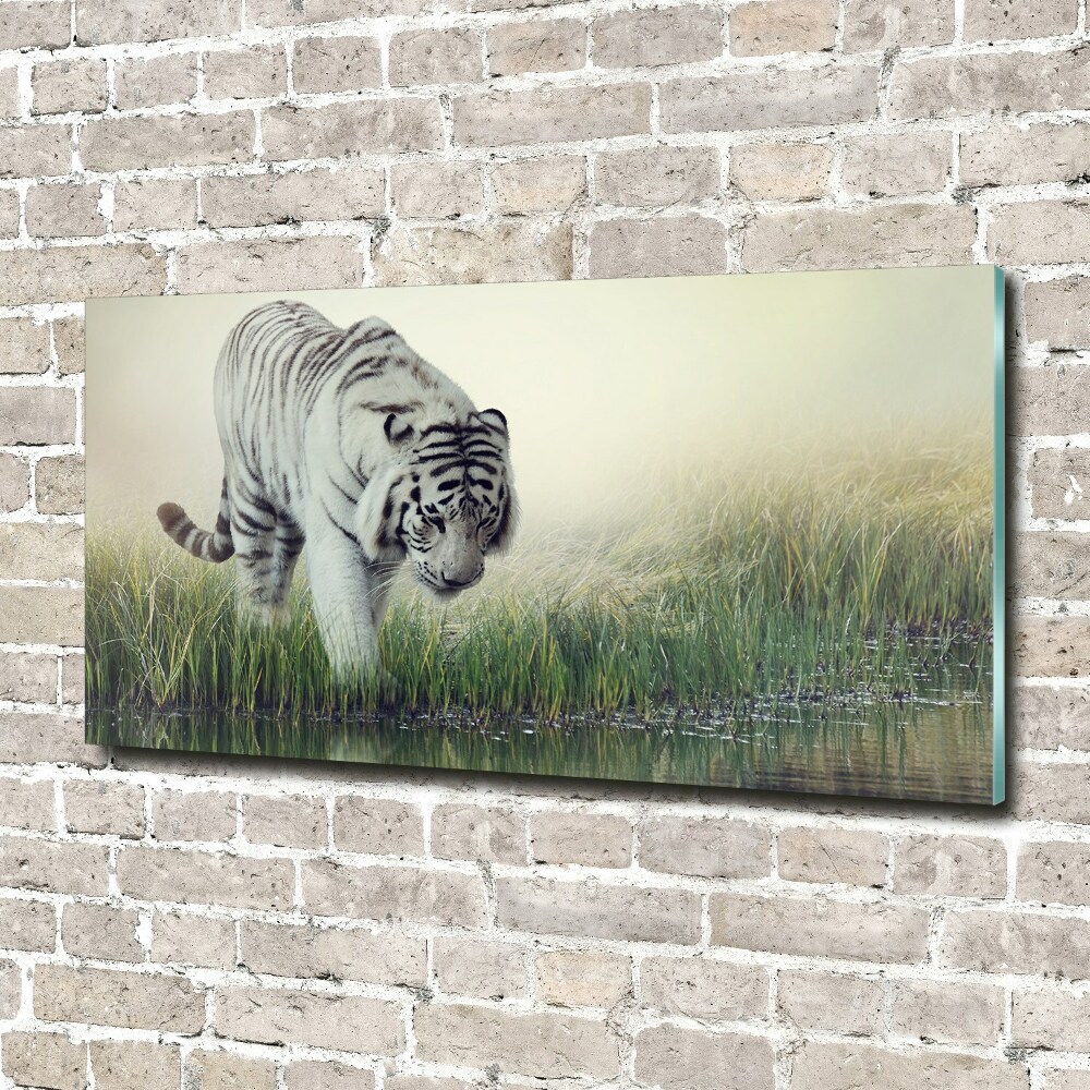 Wall art acrylic White Tiger