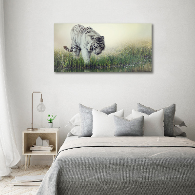 Wall art acrylic White Tiger