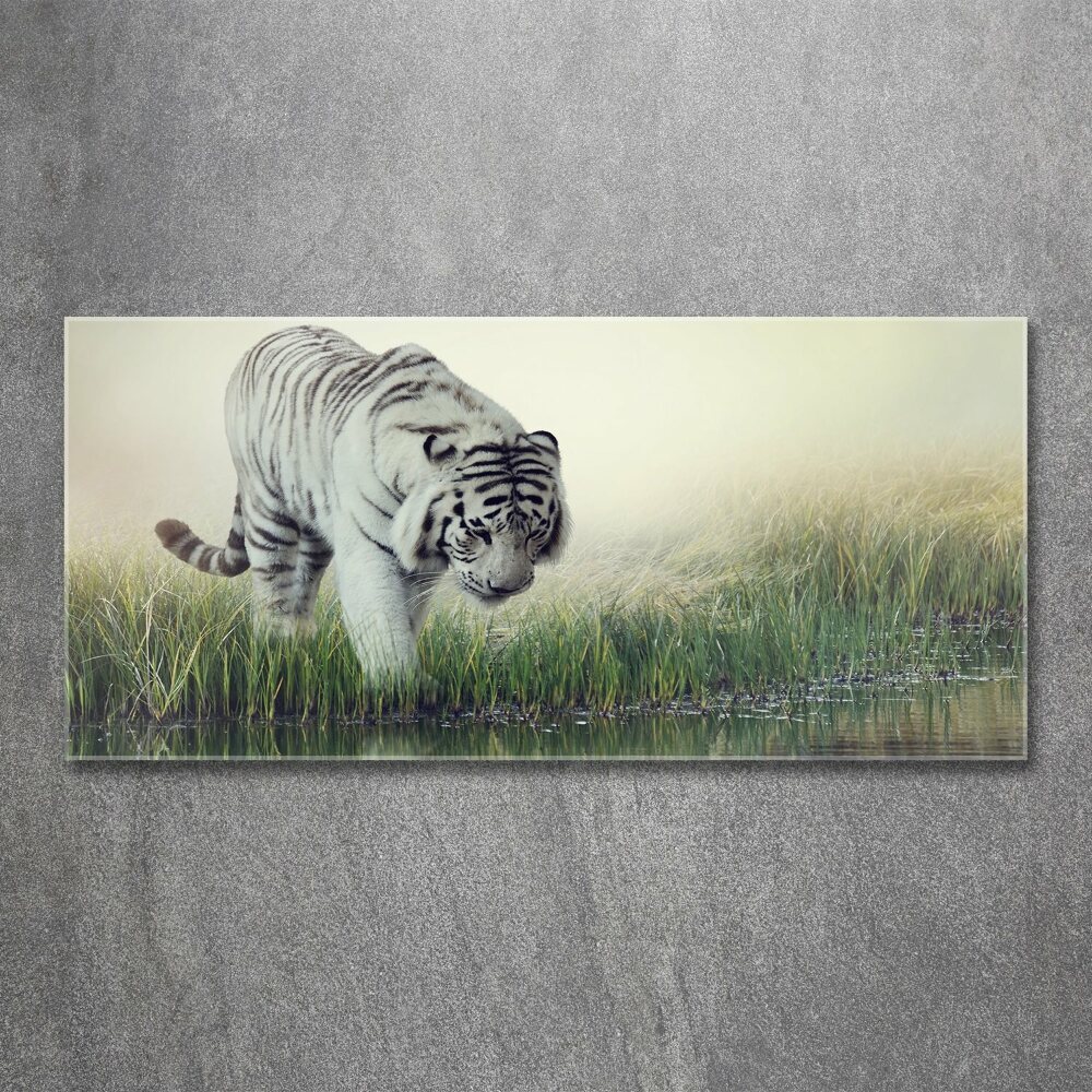 Wall art acrylic White Tiger