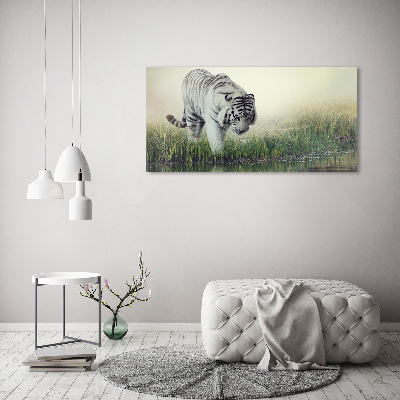 Wall art acrylic White Tiger