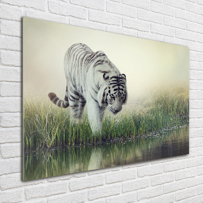 Wall art acrylic White Tiger