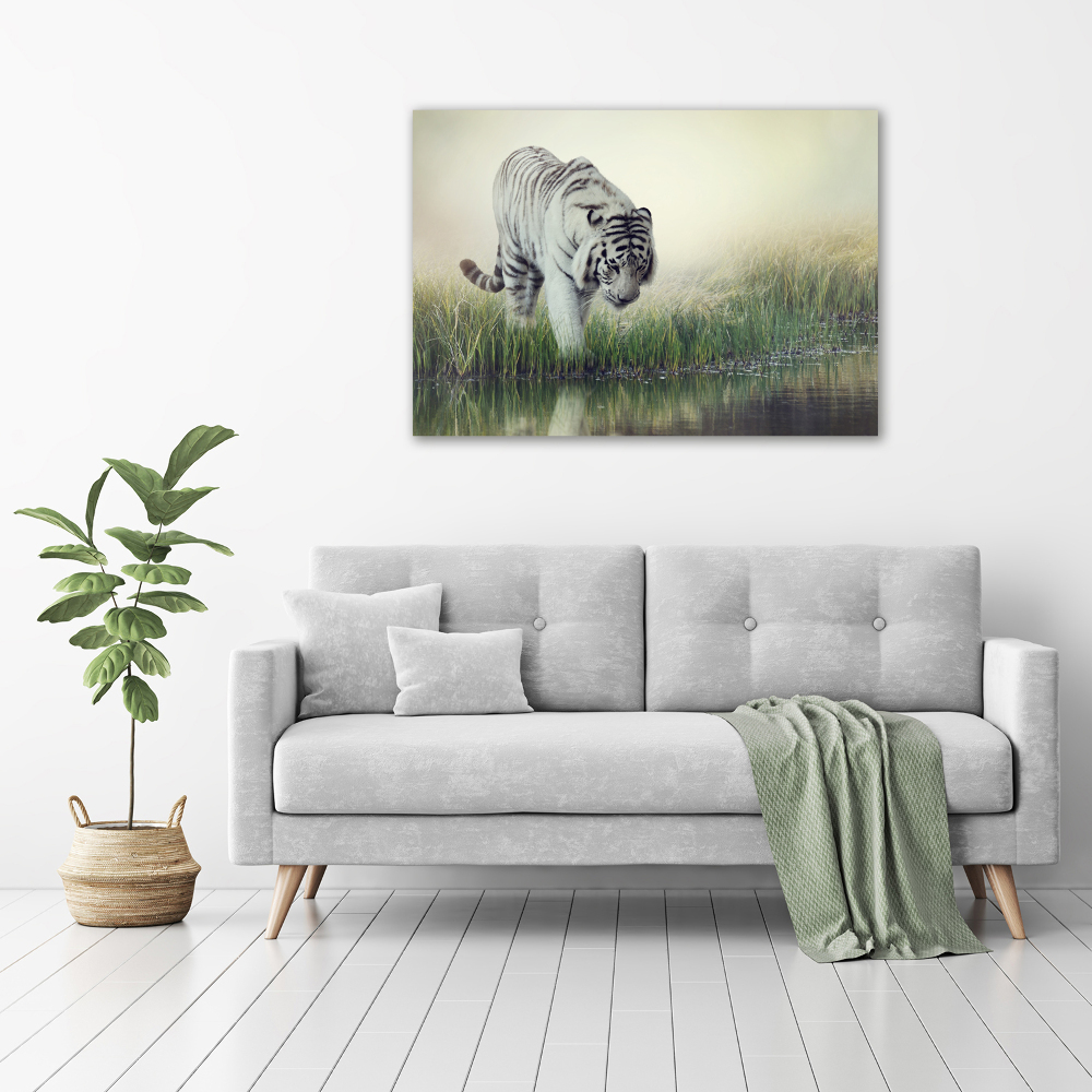 Wall art acrylic White Tiger