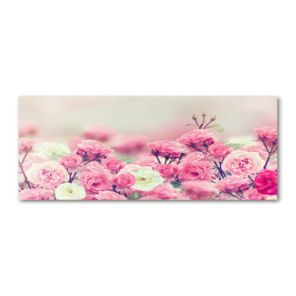 Acrylic wall art Wild rose flowers