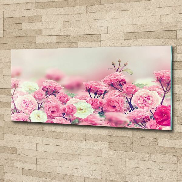 Acrylic wall art Wild rose flowers