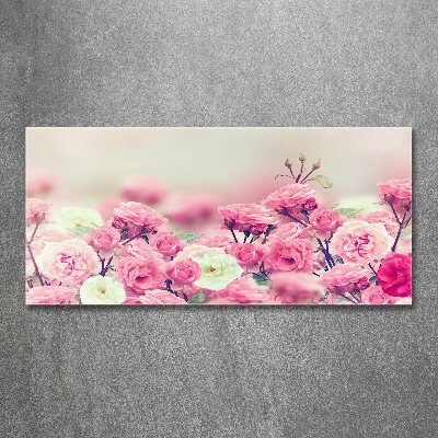 Acrylic wall art Wild rose flowers