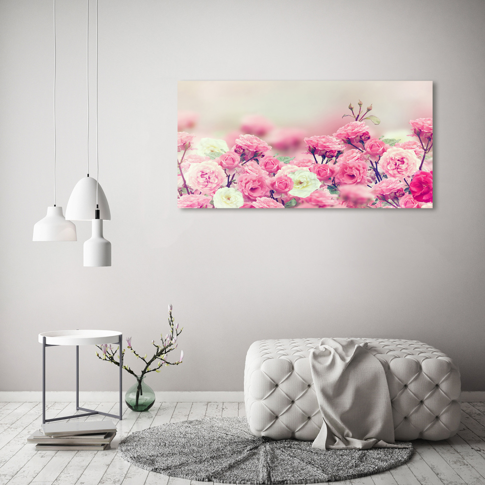 Acrylic wall art Wild rose flowers