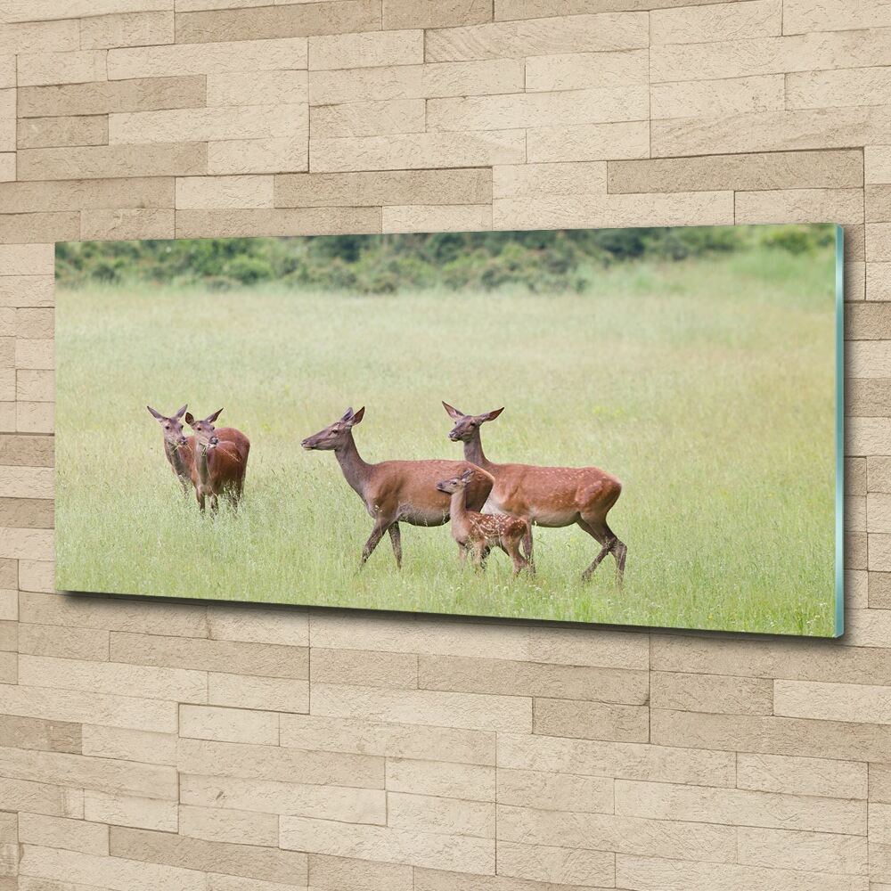 Wall art acrylic Deer with young