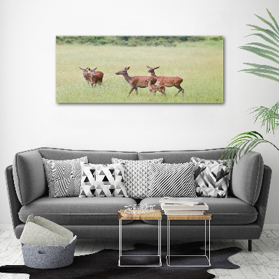 Wall art acrylic Deer with young