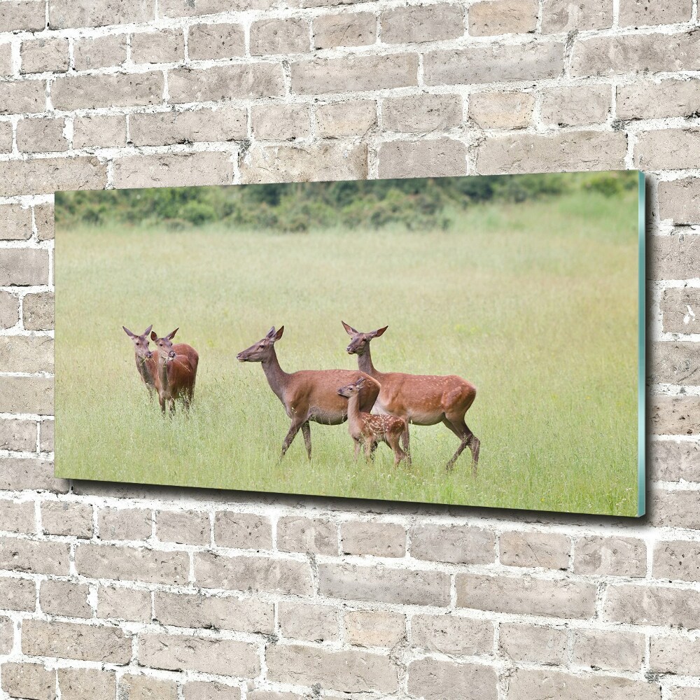 Wall art acrylic Deer with young