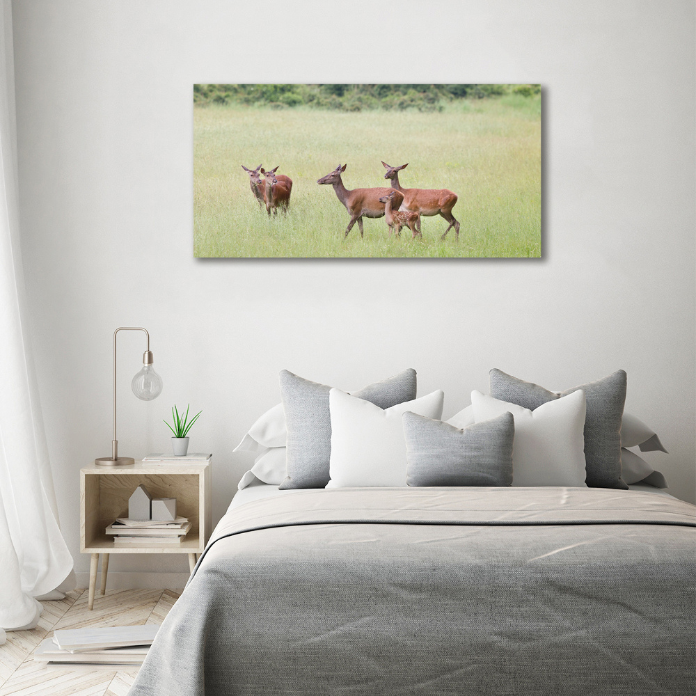 Wall art acrylic Deer with young