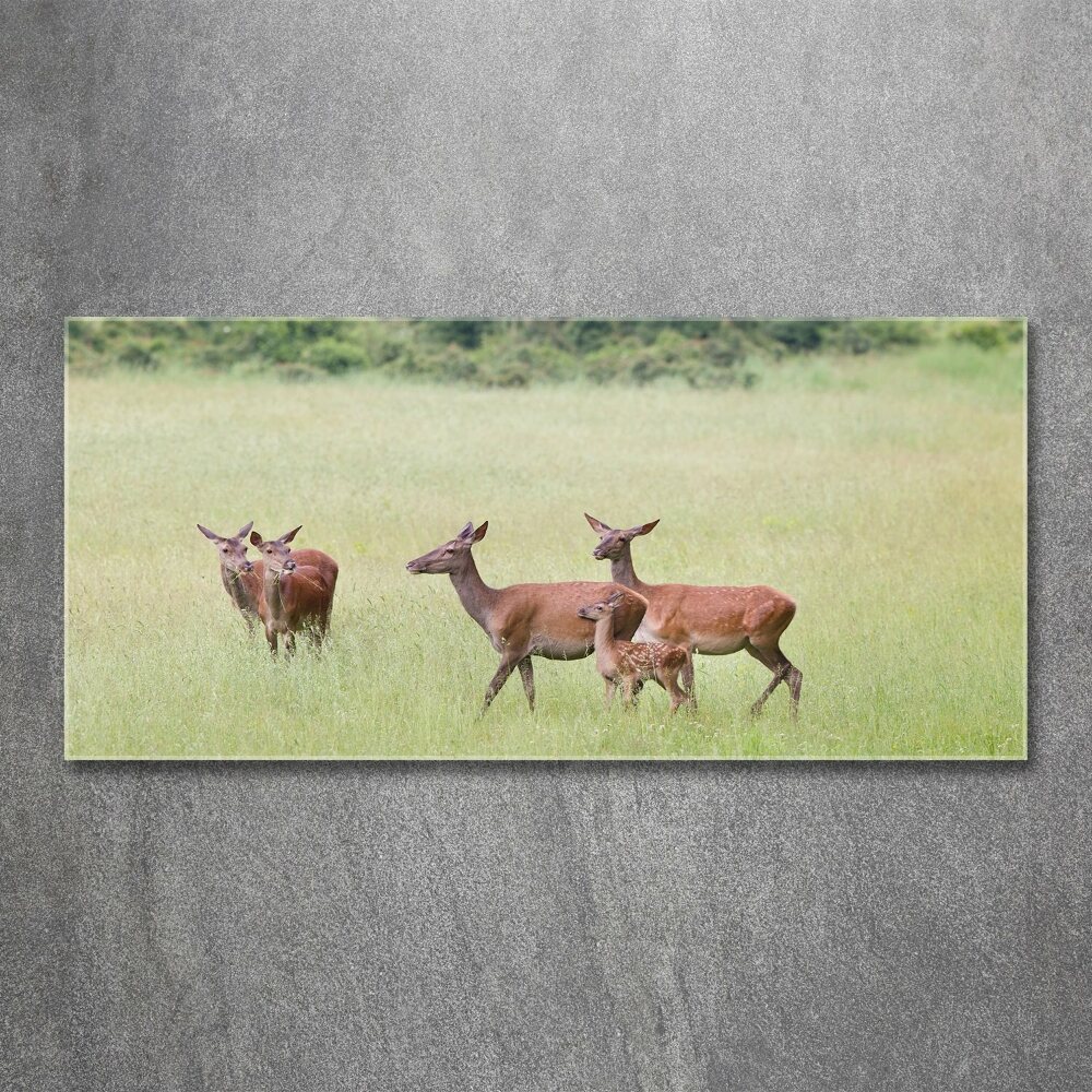 Wall art acrylic Deer with young