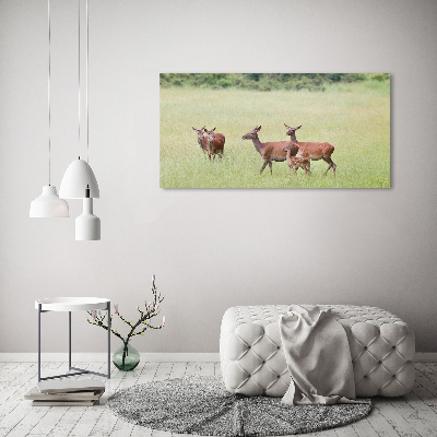 Wall art acrylic Deer with young