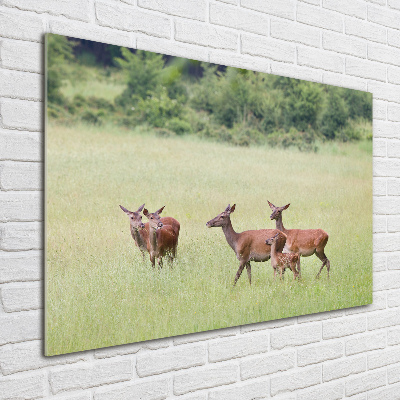 Wall art acrylic Deer with young