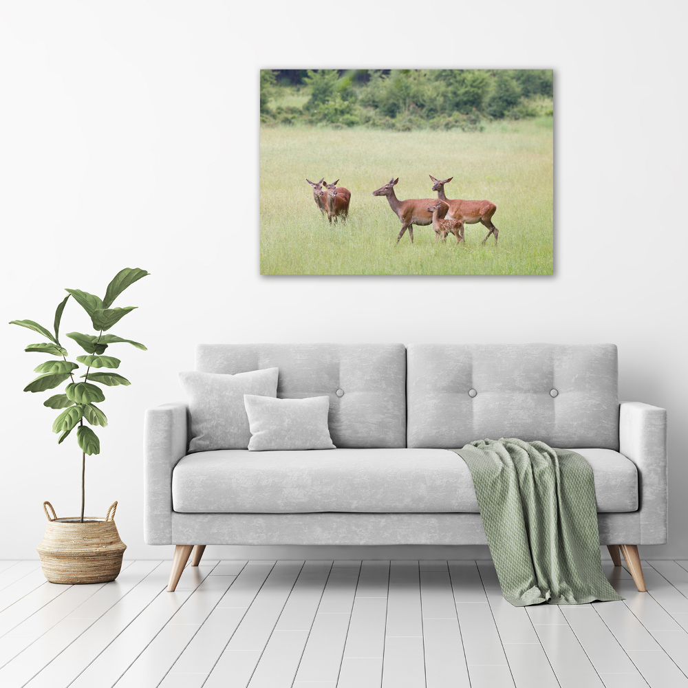 Wall art acrylic Deer with young