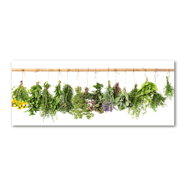 Print on acrylic Herbs on a string