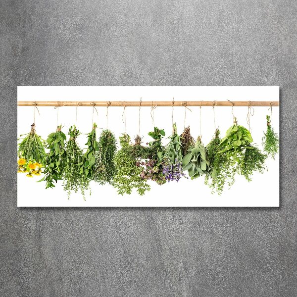 Print on acrylic Herbs on a string