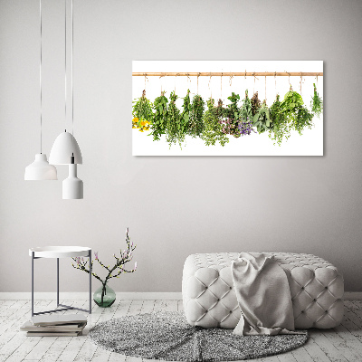 Print on acrylic Herbs on a string