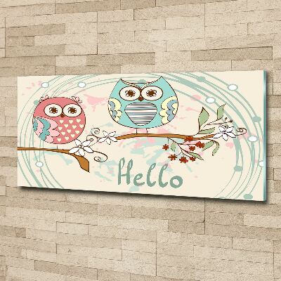 Glass acrylic wall art Owls