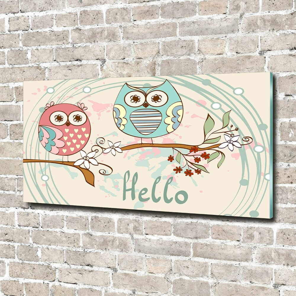 Glass acrylic wall art Owls