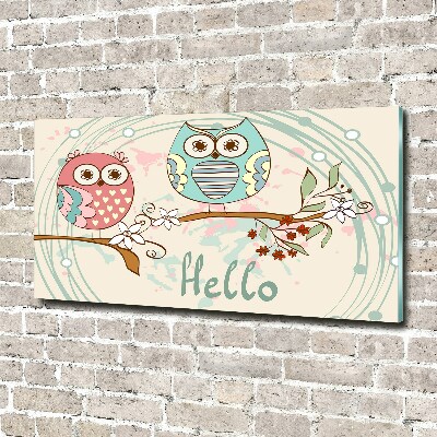 Glass acrylic wall art Owls