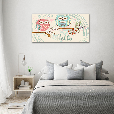 Glass acrylic wall art Owls