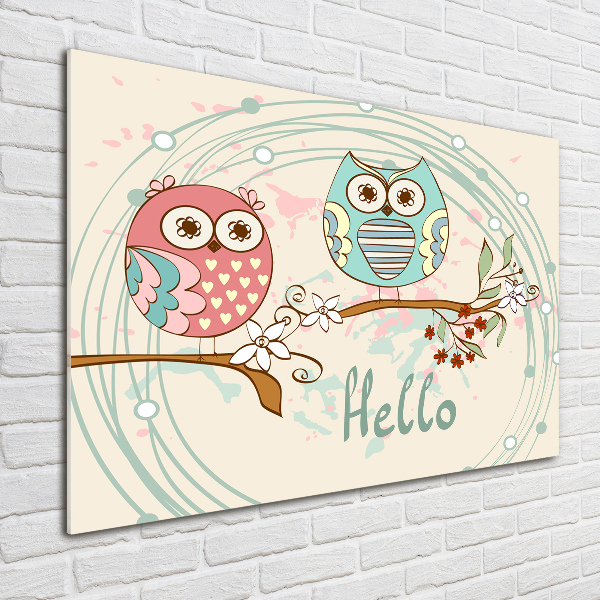 Glass acrylic wall art Owls