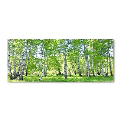 Acrylic wall art Birch