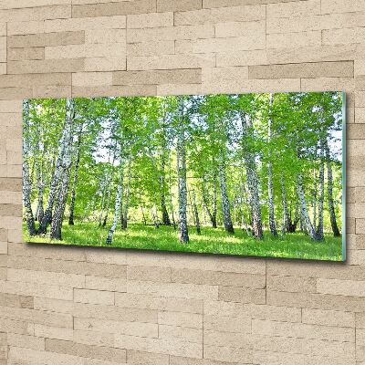 Acrylic wall art Birch