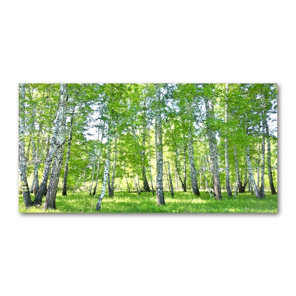 Acrylic wall art Birch