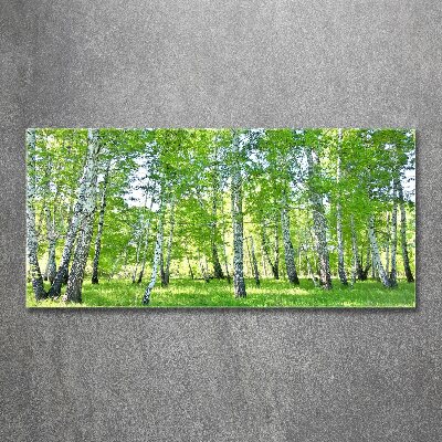 Acrylic wall art Birch