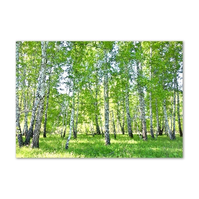 Acrylic wall art Birch