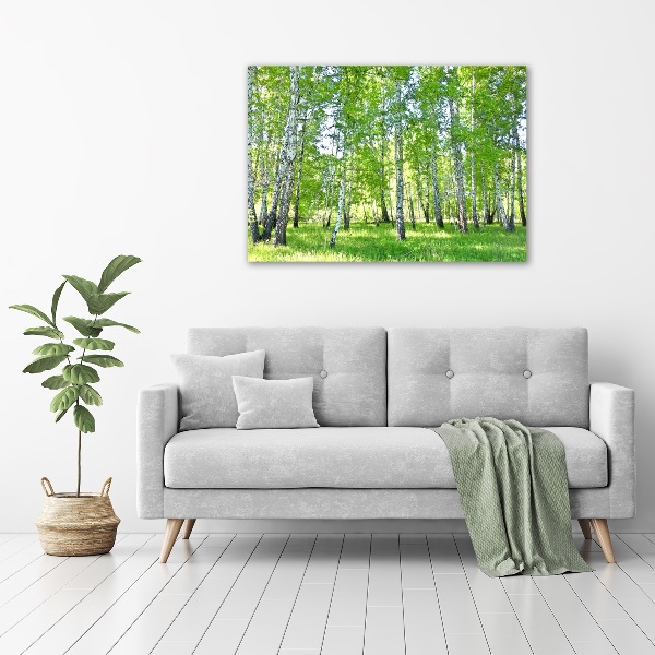 Acrylic wall art Birch