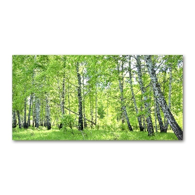 Acrylic print Birch forest