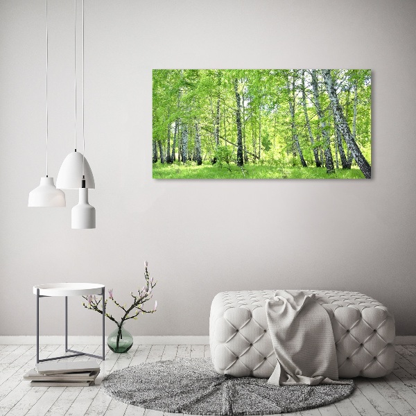 Acrylic print Birch forest