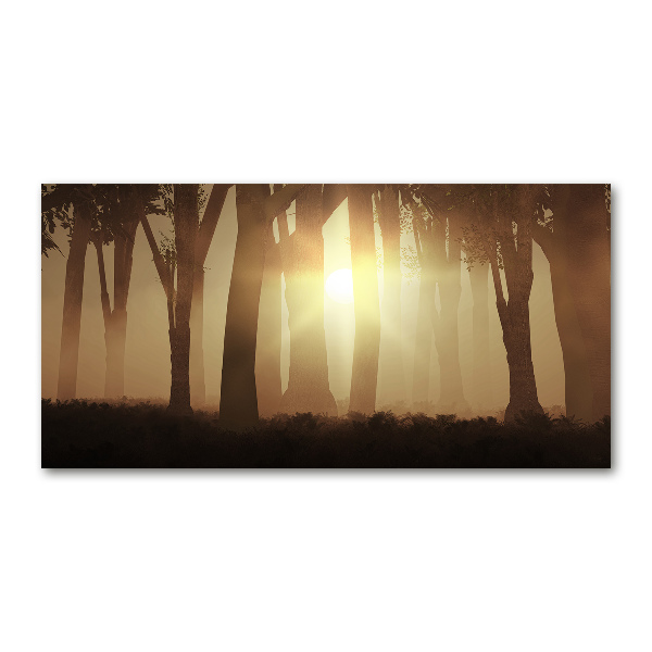 Glass acrylic wall art Fog in the forest