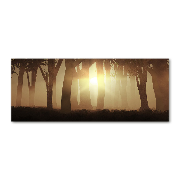 Glass acrylic wall art Fog in the forest