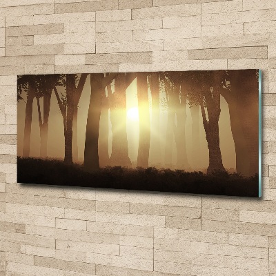 Glass acrylic wall art Fog in the forest